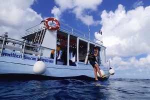 Dive Trips with Diving with Cristina