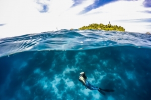 Cozumel Freediving