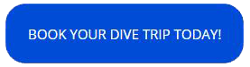 Book your dive trip today!