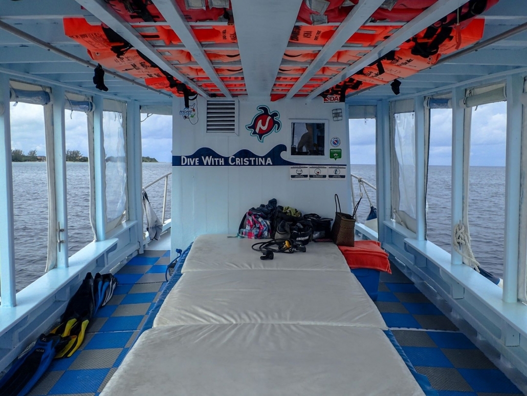 Diving in Cozumel on board of Nena boat