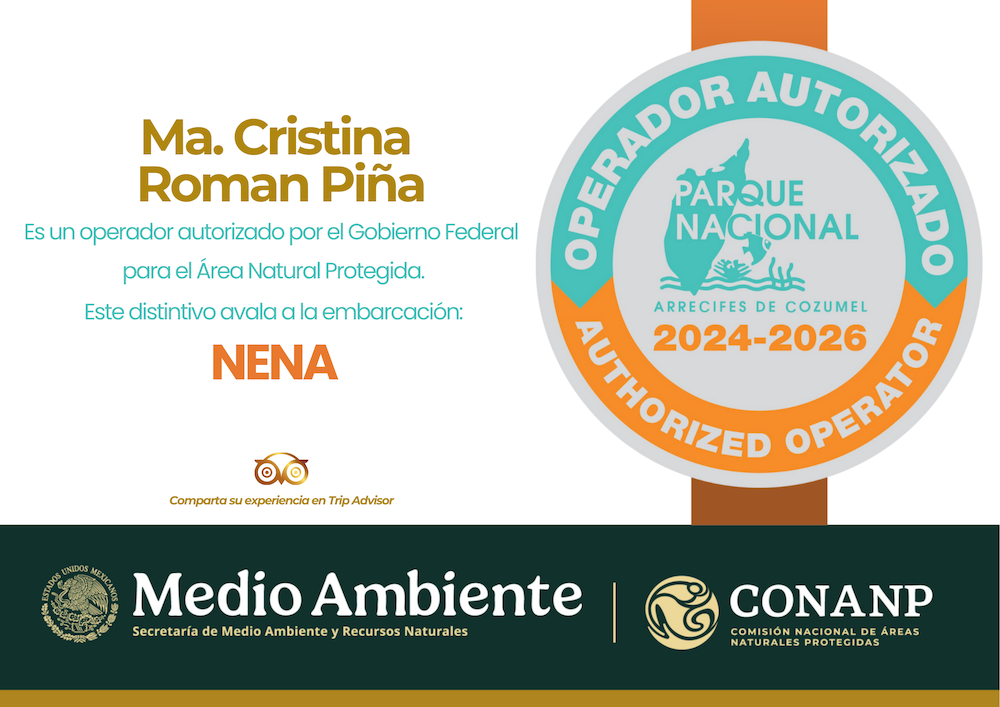 Dive with Cristina Operador Autorizado Parque Nacional Cozumel 1000